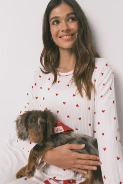 Bandana para cão com corações vermelha