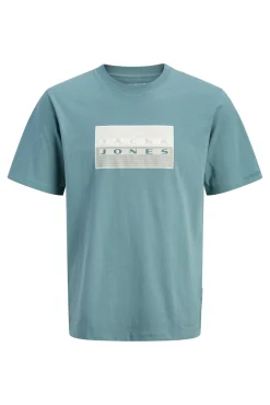 Camiseta básica estampado