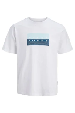 Camiseta básica estampado
