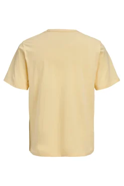 Camiseta básica regular