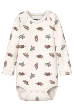 Conjunto de bodies