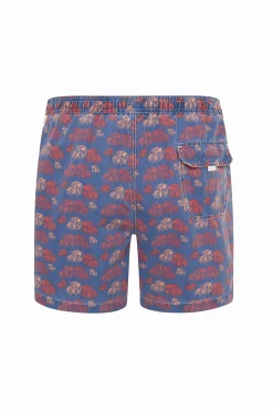 Fato de banho bermuda azul lavagem de fetos marinhos