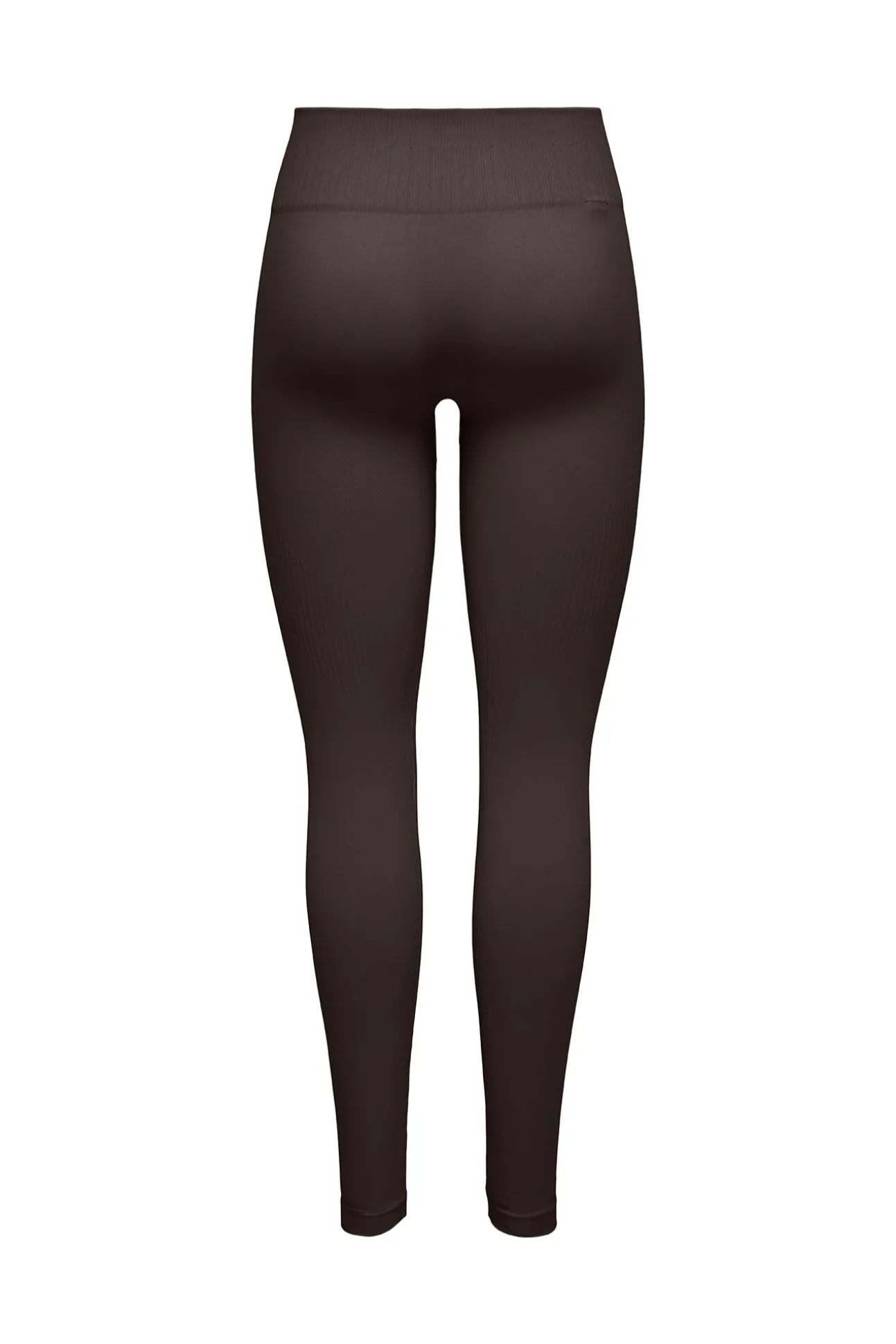 Legging Seamless