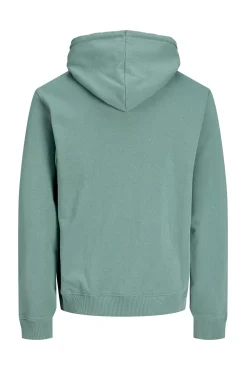 Sweatshirt capuz