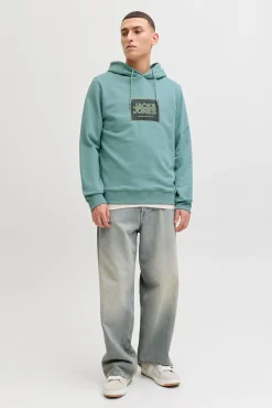 Sweatshirt capuz