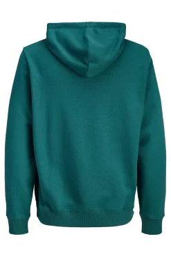 Sweatshirt com capuz em algodão macia