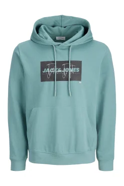 Sweatshirt com capuz logo