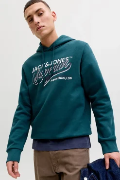 Sweatshirt de capuz regular fit