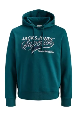 Sweatshirt de capuz regular fit