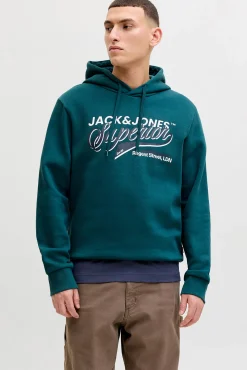 Sweatshirt de capuz regular fit
