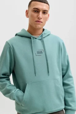 Sweatshirt de capuz regular fit