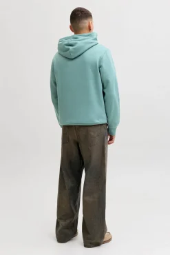 Sweatshirt de capuz regular fit