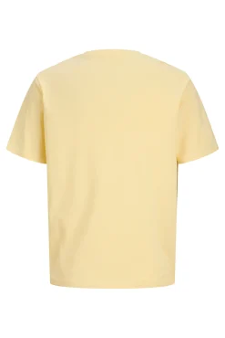 T-shirt manga curta em algodão