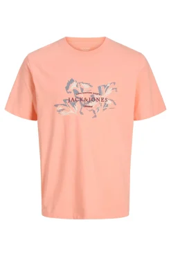 T-shirt regular fit estampada